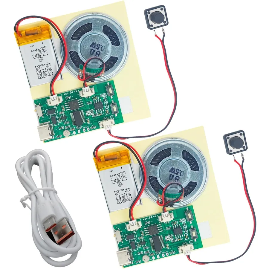 2pcs DIY Audio Recorder and Player, Record Standalone or Download Music via USB Type-C, Compact Size, Includes PCB, Speaker, Battery, Buttons, for Personalized Greeting Cards, Music Boxes, and More