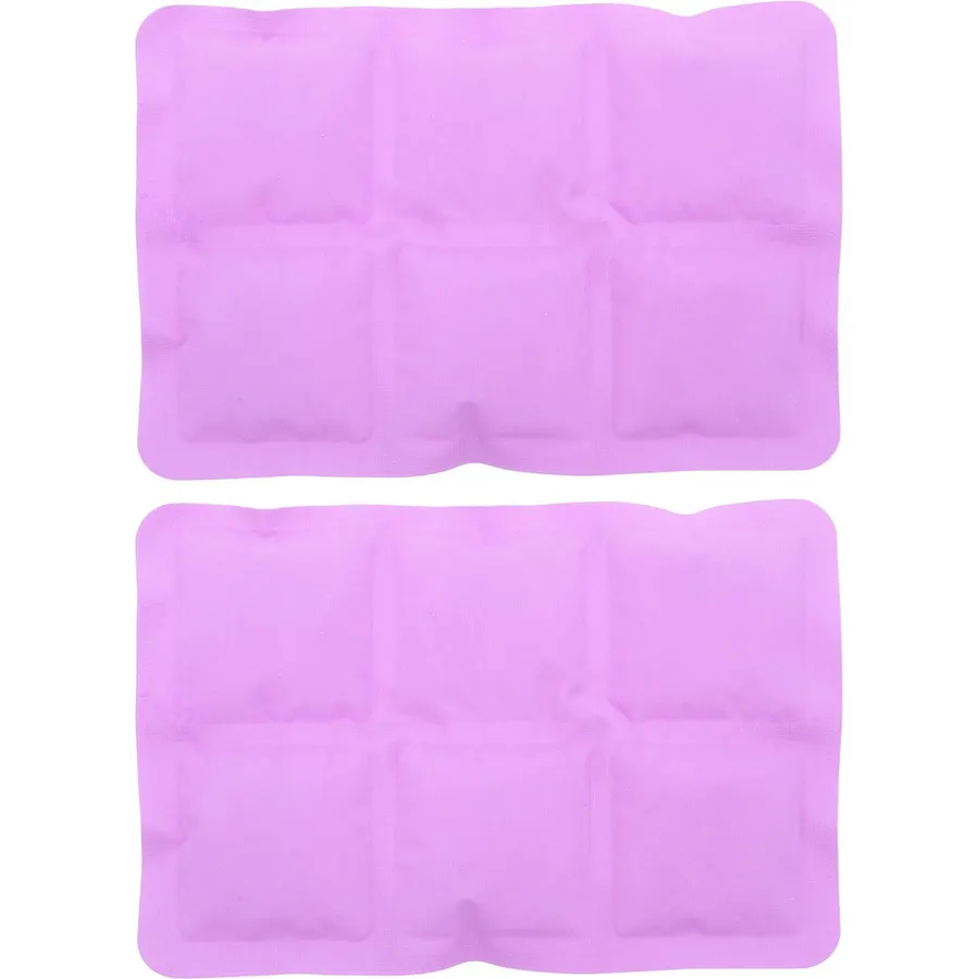 LALAFINA 2pcs Reusable Cooler Cold Packs Ice Pack 6.7x4.5 Inch Lunch Box